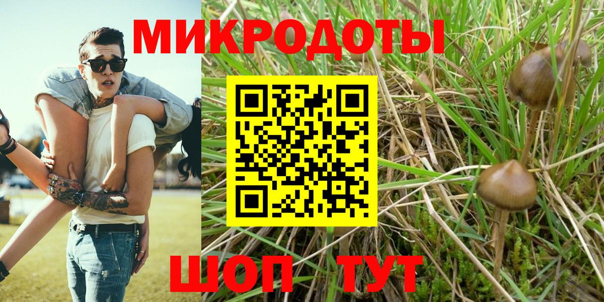 купить  цена  Вход с VPN  Заводоуковск  Галлюциногенные грибы GOLDEN TEACHER 