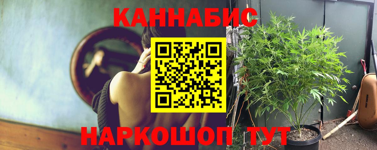 МАРИХУАНА Bruce Banner Заводоуковск